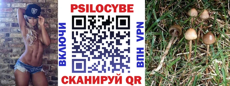 Псилоцибиновые грибы Psilocybe  Подпорожье 